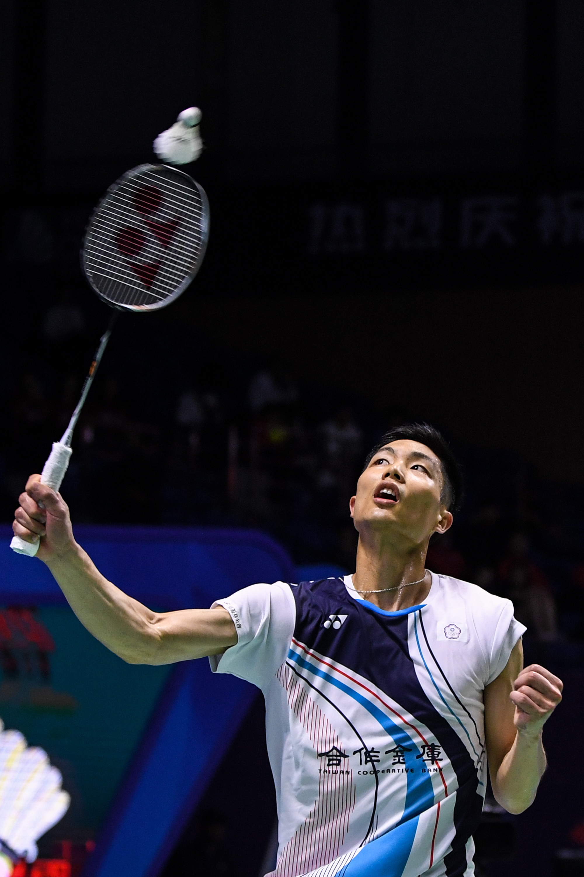 效应同样可 效应同样可