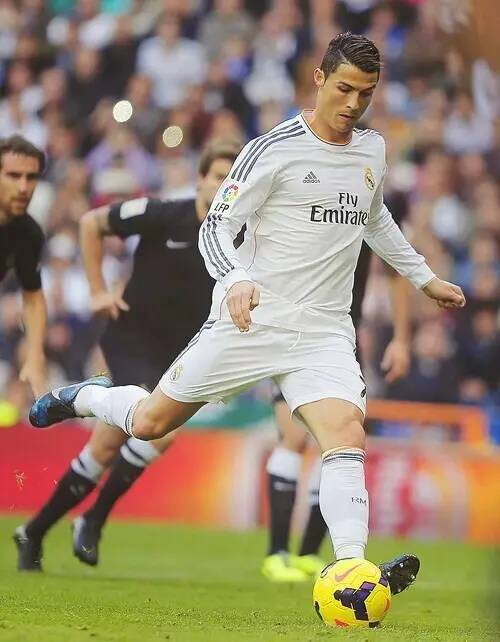 这条伤情无 这条伤情无